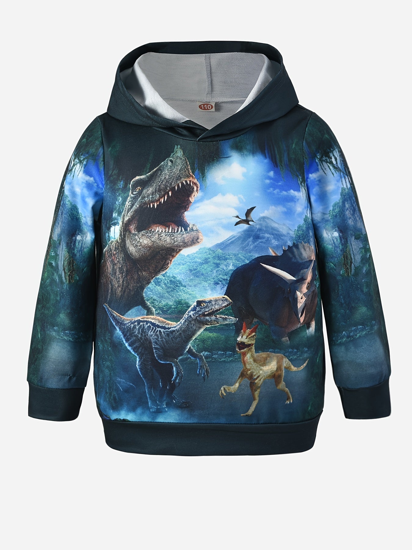 Dinosaur 3D Print Boys Hooded Sweatshirt