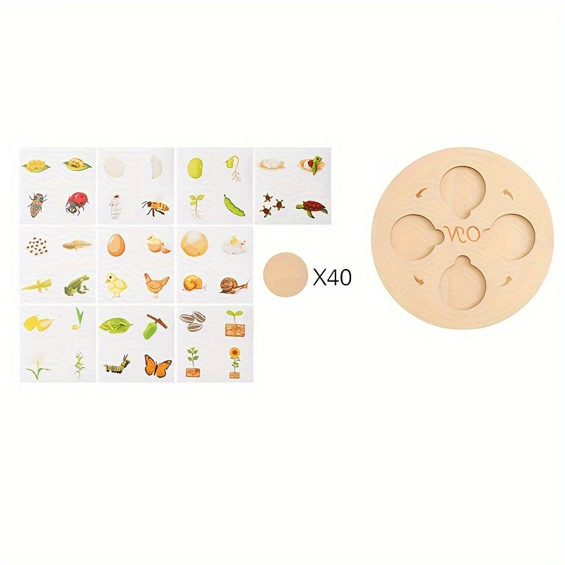 Wooden Life Cycle Board Puzzle Growth Circle Cognitive Educational Toys