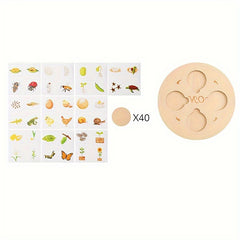 Wooden Life Cycle Board Puzzle Growth Circle Cognitive Educational Toys