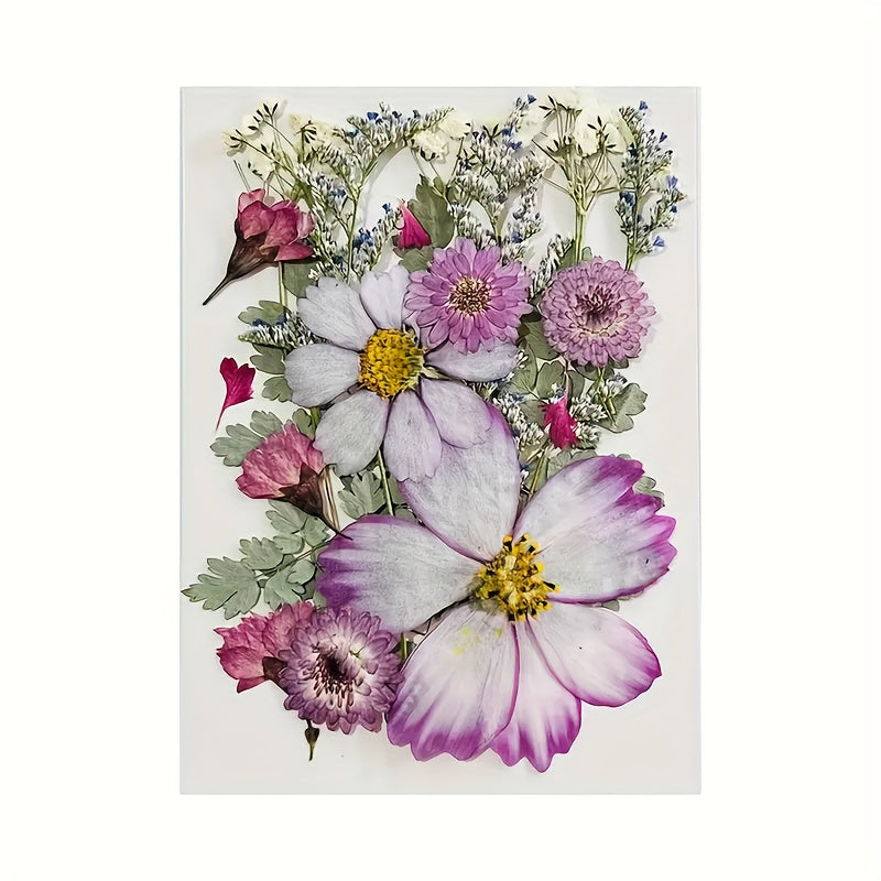 20pcs Dried Flower DIY Craft Kit - Wall Art, Photo Frames, Books