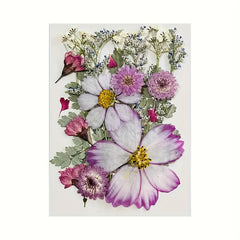 20pcs Dried Flower DIY Craft Kit - Wall Art, Photo Frames, Books