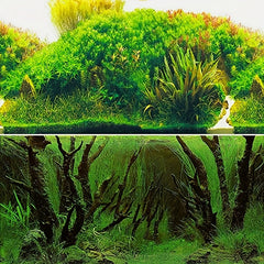 Aquarium Plant Background Poster Fish Tank Decoration Paper