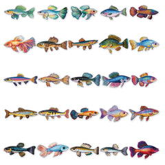 50pcs Vibrant Fish Stickers Waterproof Vinyl Decals for Water Bottles Laptops