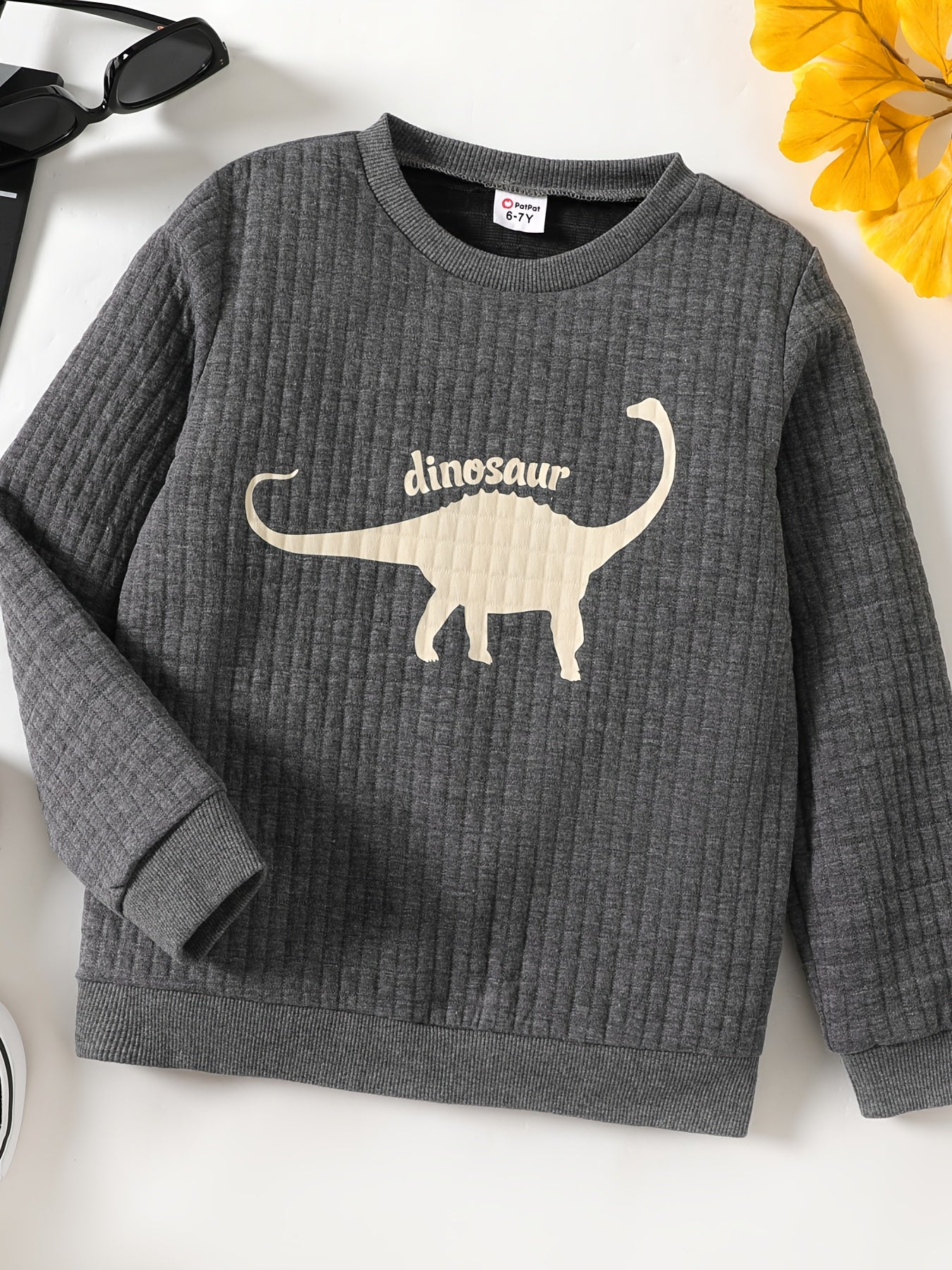 Dinosaur Print Boys Casual Pullover Sweatshirt Long Sleeve Crew Neck Tops