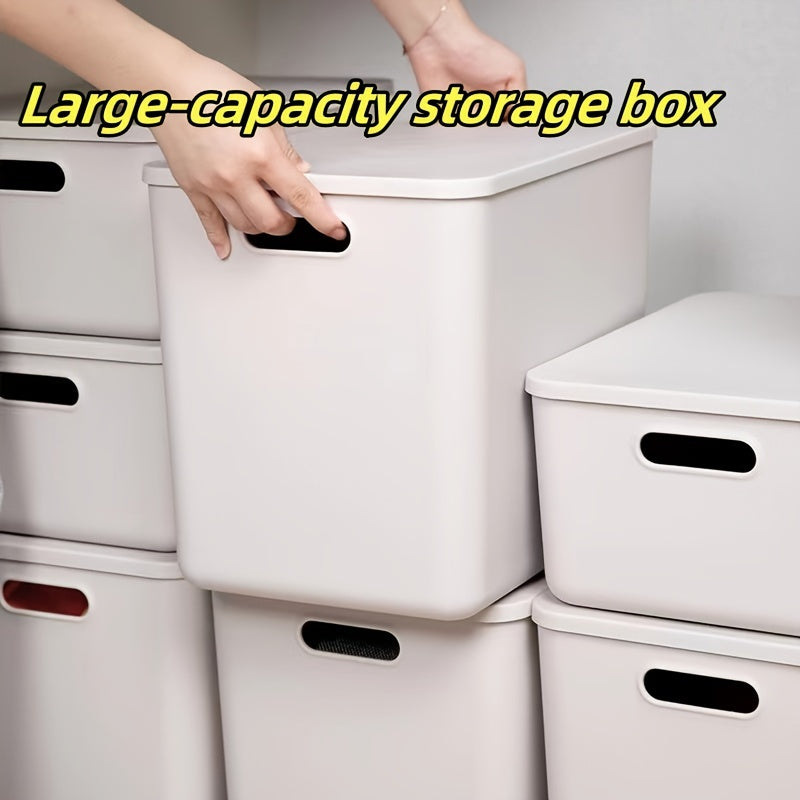Plastic Storage Basket with Lid for Snacks and Cosmetics