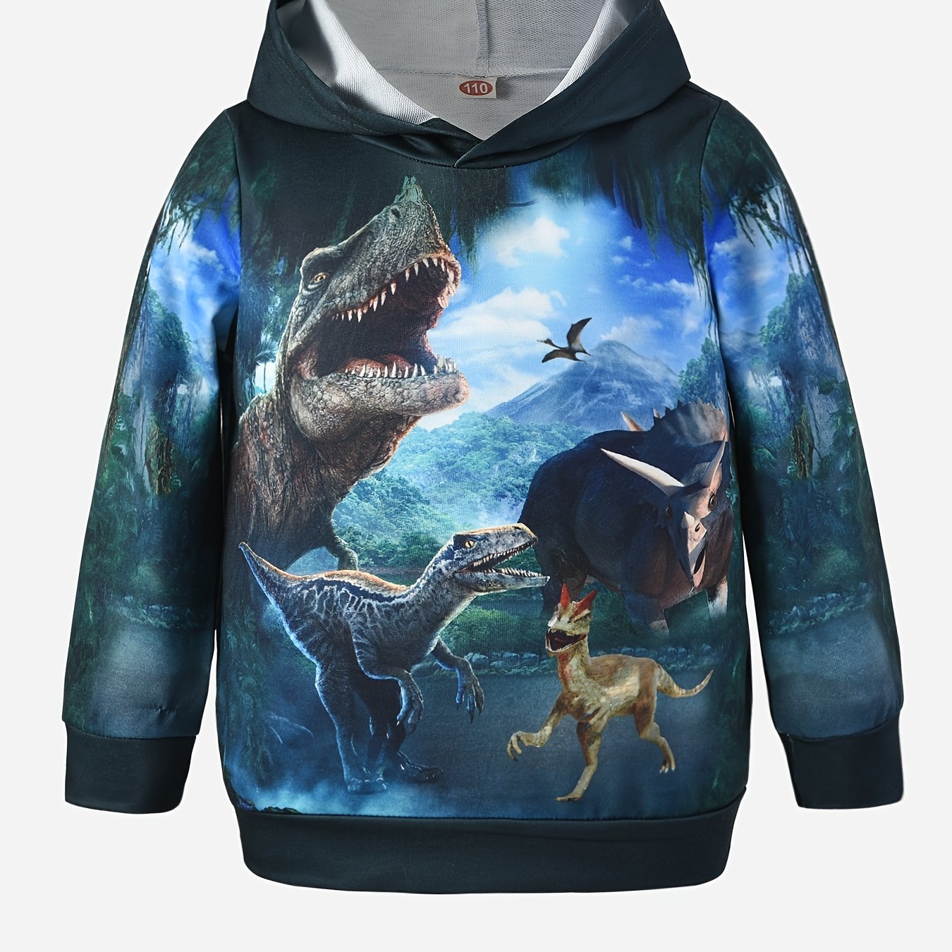 Dinosaur 3D Print Boys Hooded Sweatshirt