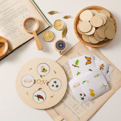Wooden Life Cycle Board Puzzle Growth Circle Cognitive Educational Toys