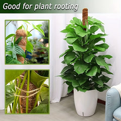 Sisal Rope Bottom Climbing Bracket for Greenery Gardening