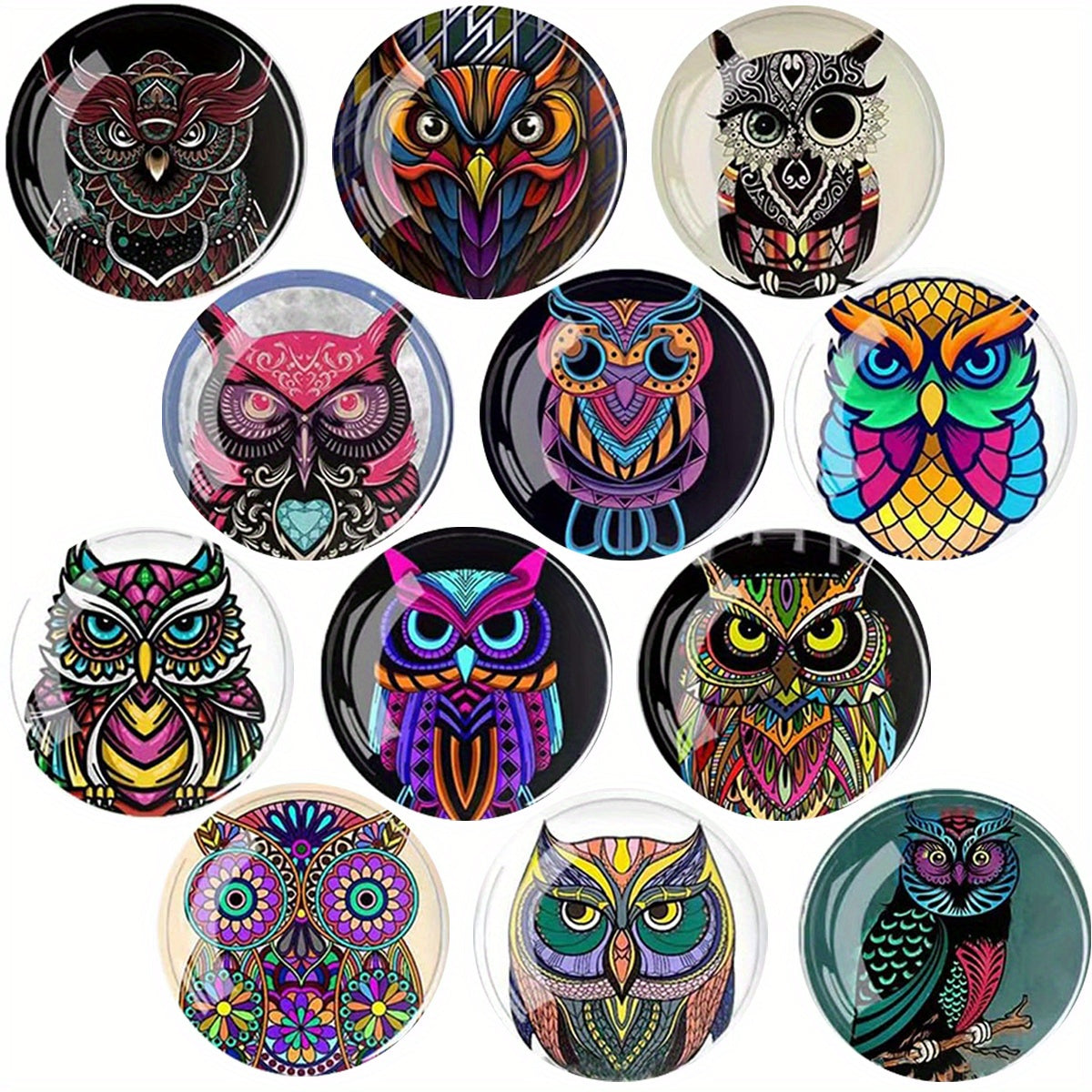 12pcs Owl Glass Refrigerator Magnets Decorative Office Kitchen Whiteboard Magnet