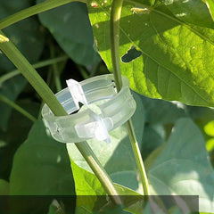 Tomato Hanging Rope Snap Clip Vegetable Snap Clip Garden Tools