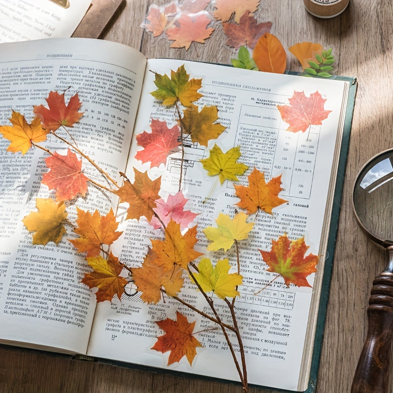 Vintage Maple Leaf Plant Stickers - 40 Sheets Pack PET Material