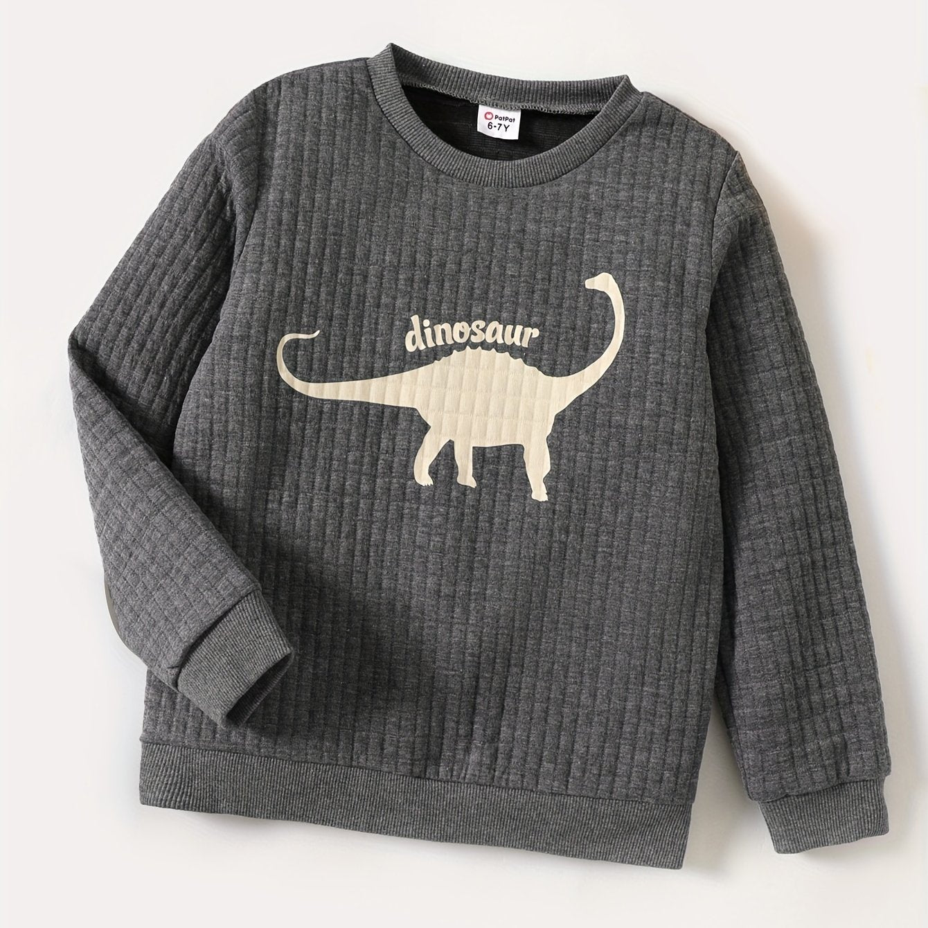 Dinosaur Print Boys Casual Pullover Sweatshirt Long Sleeve Crew Neck Tops