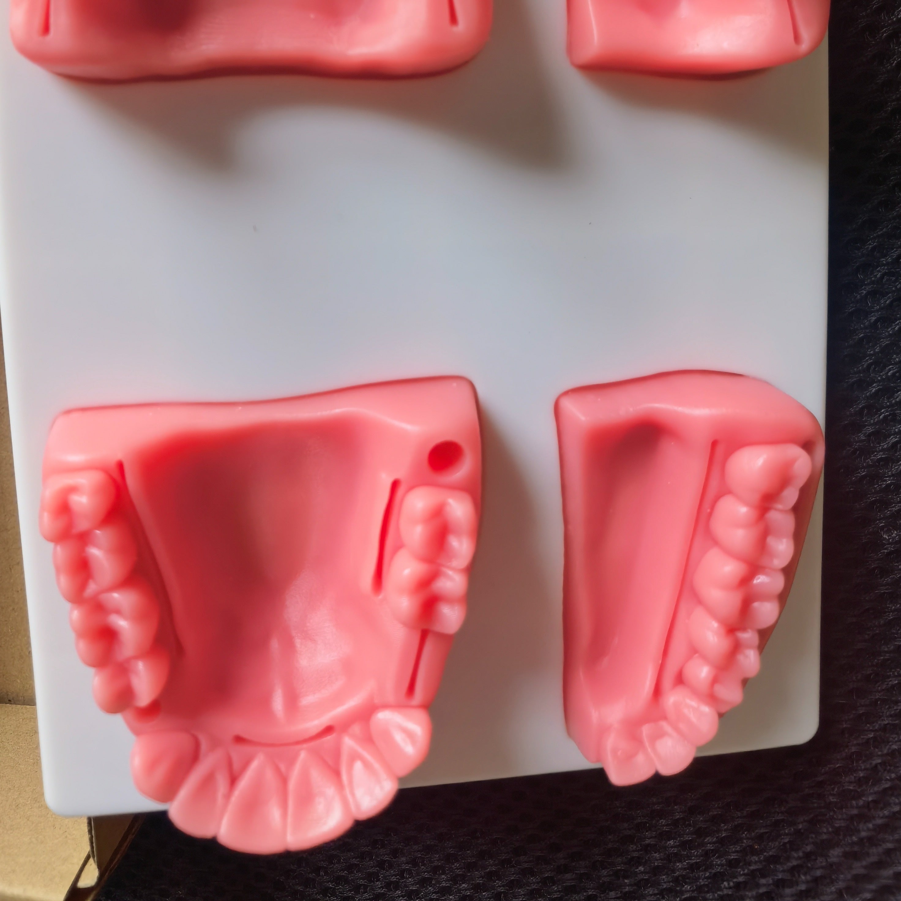 Dental Suture Practice Model for Training – CRAZE