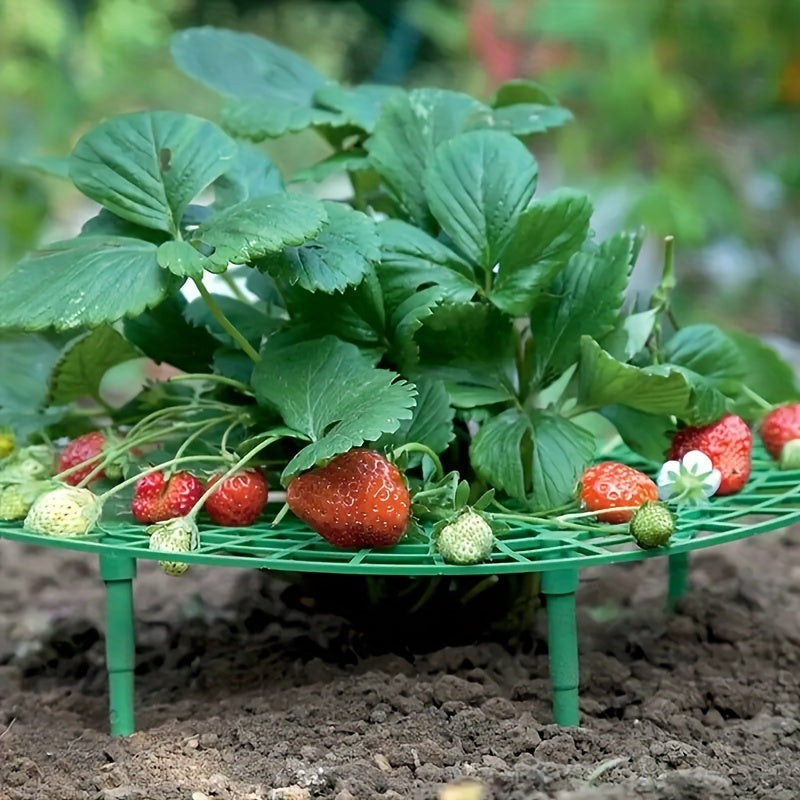3pcs Strawberry Tray Holder Anti-overturning Plant Support