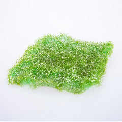 Miniature Wildflowers Grass Pile Bush Vegetation Model for Diorama Scene