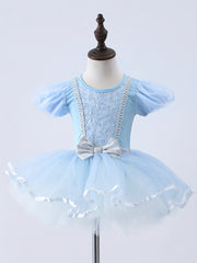 Girls Floral Embroidery Tulle Tutu Mesh Ruffled Sleeve Dance Dress