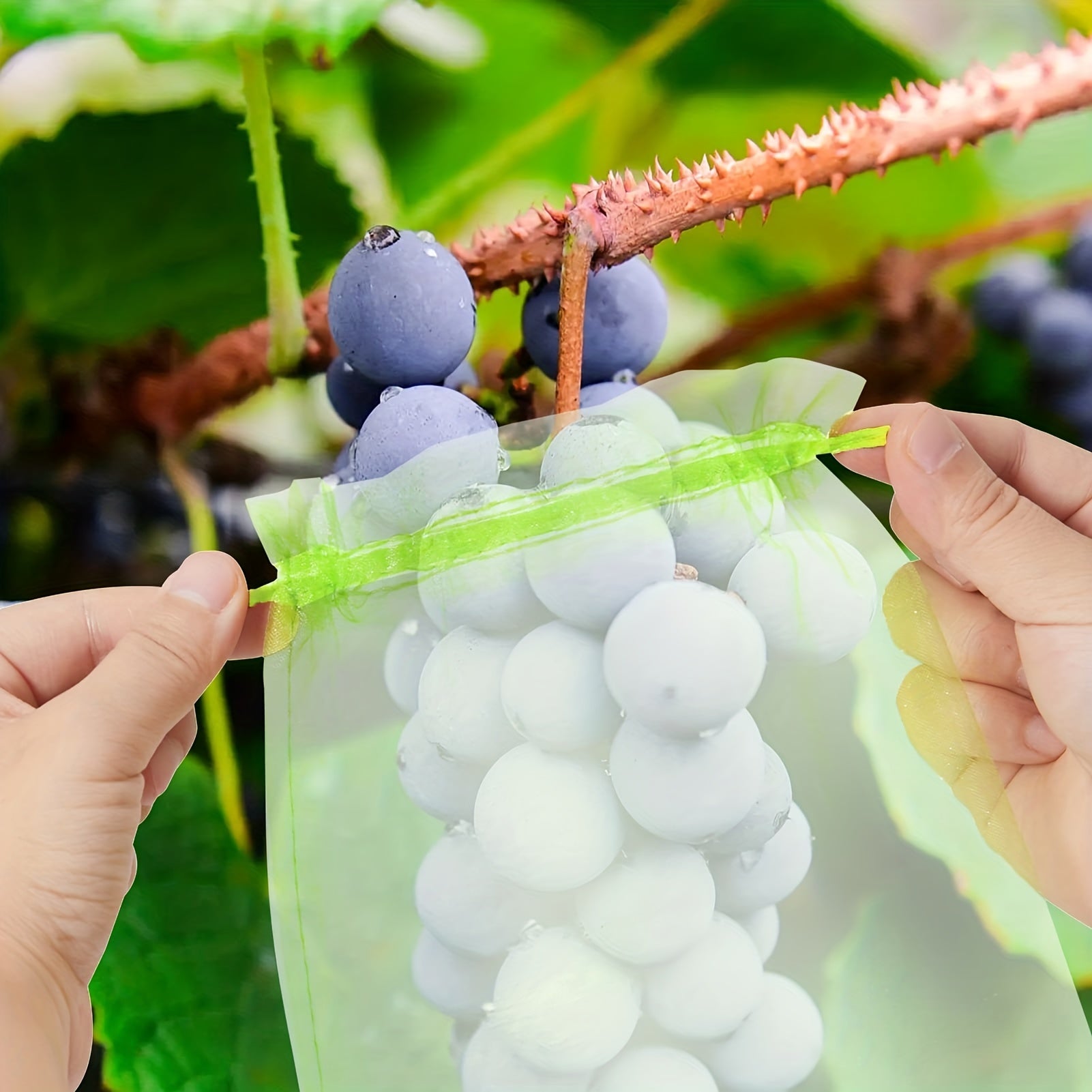 10Pcs Green Fruit Net Bags with Drawstring for Fruit Protection from Pests