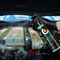 Car Engine Cleaner & Iron Remover Kit - Protect Paint & Wheels