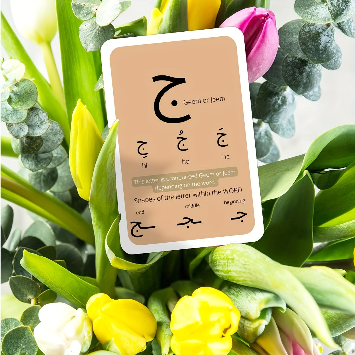 Arabic Alphabet Flashcards - Consonants, Vowels, Diacritics, Numbers