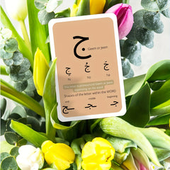Arabic Alphabet Flashcards - Consonants, Vowels, Diacritics, Numbers