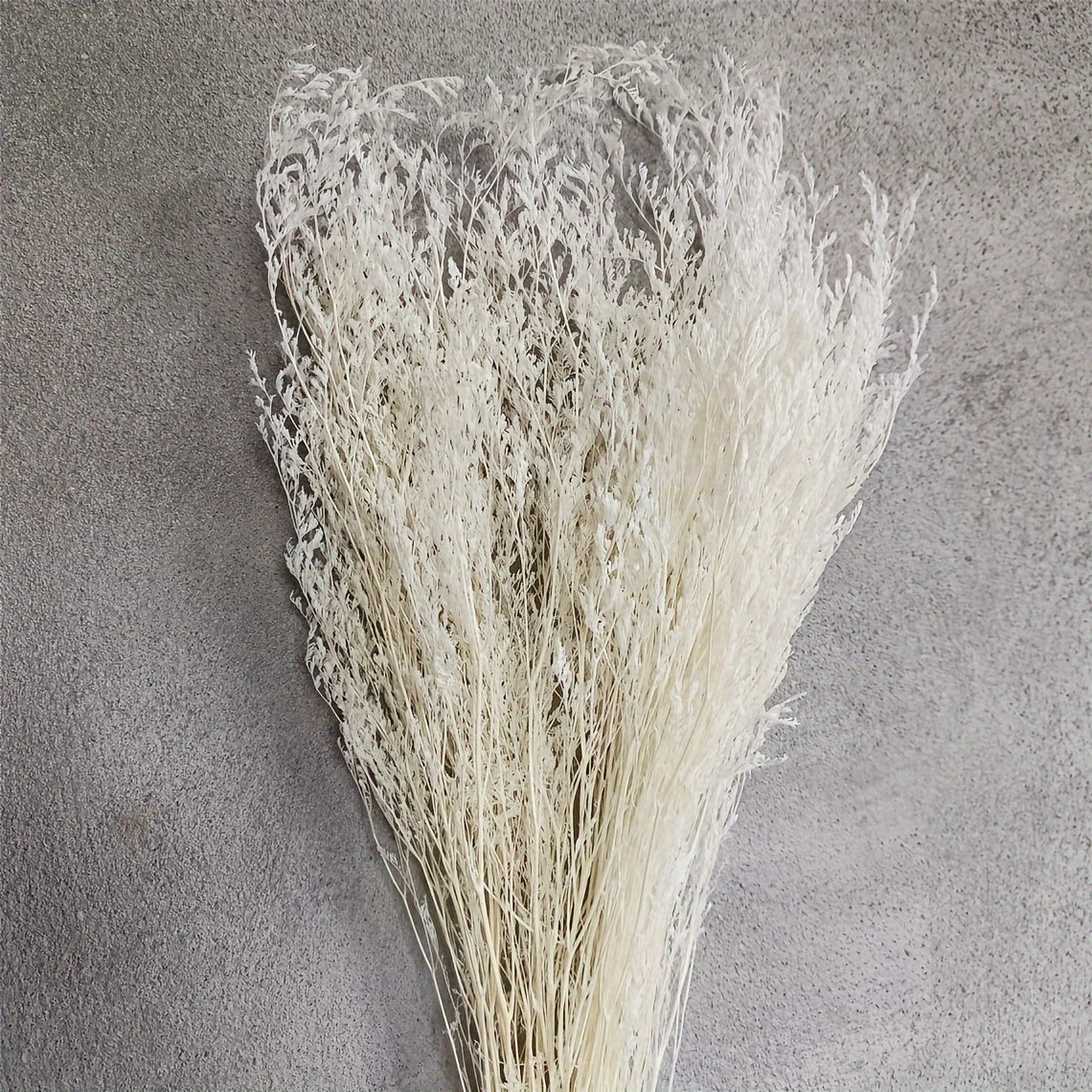 Sea Lavender Stems Fresh Real Flowers Wedding Home Decor Valentine Gift
