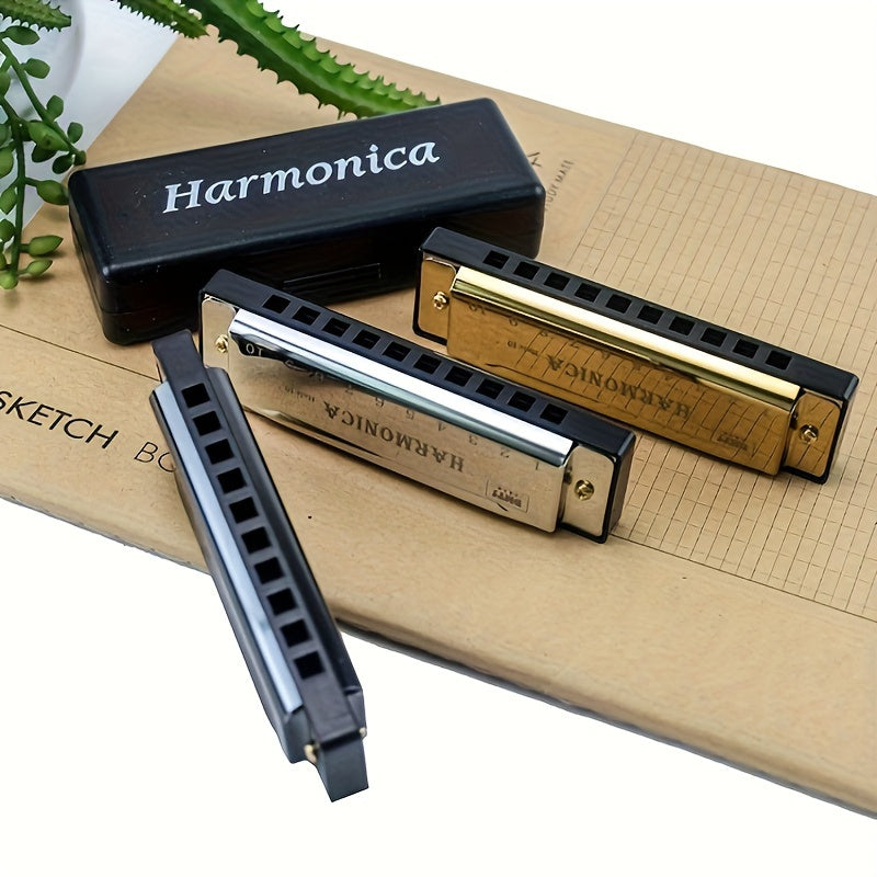 10 Holes Harmonica Mouth Organ Puzzle Musical Instrument Beginner