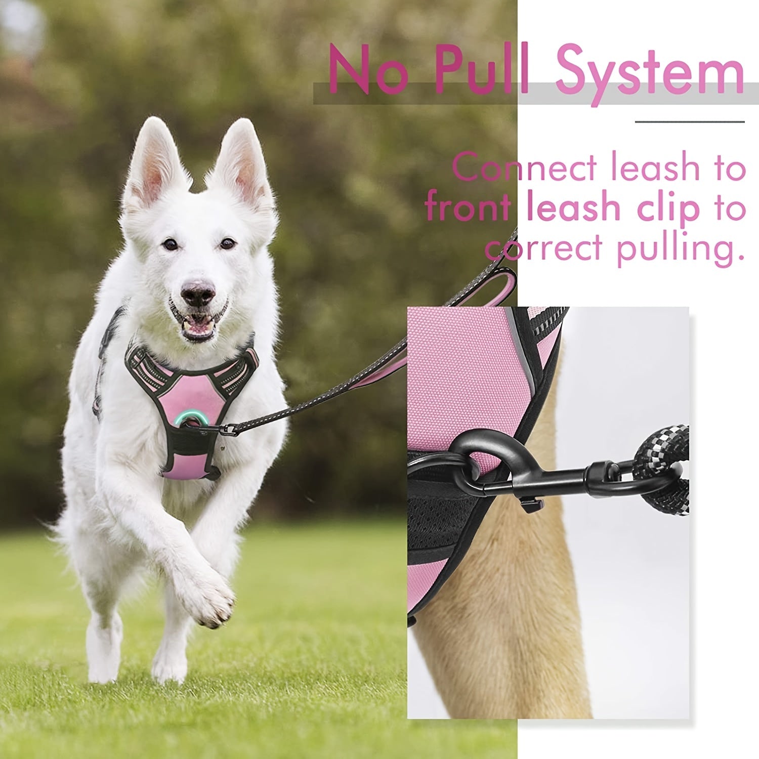 Adjustable No Pull Dog Harness with Padded Vest - Comfortable Walking Experience