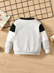 Boys Casual Block Pullover Sweatshirt With Brother Print