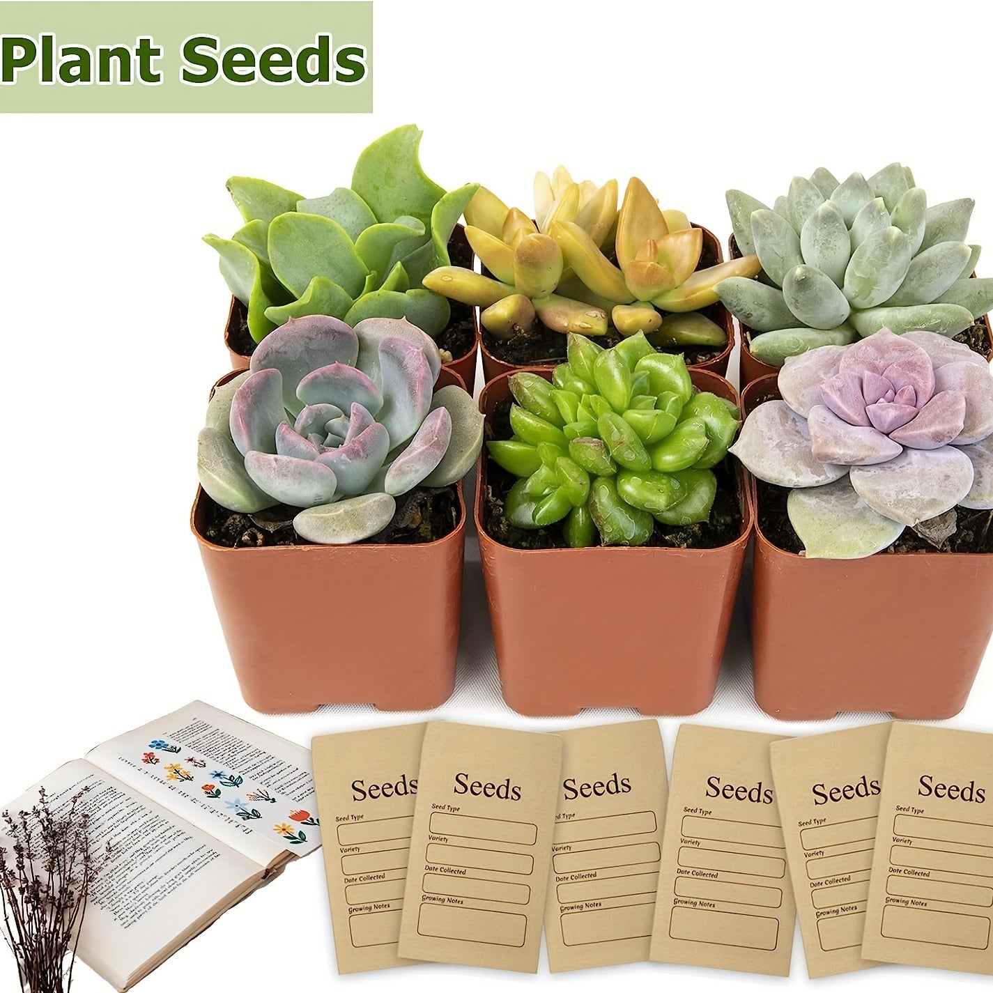 20pcs Small Self Adhesive Seed Storage Envelopes 8x11.9
