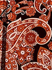  Paisley Floral Print Long Sleeve Dress
