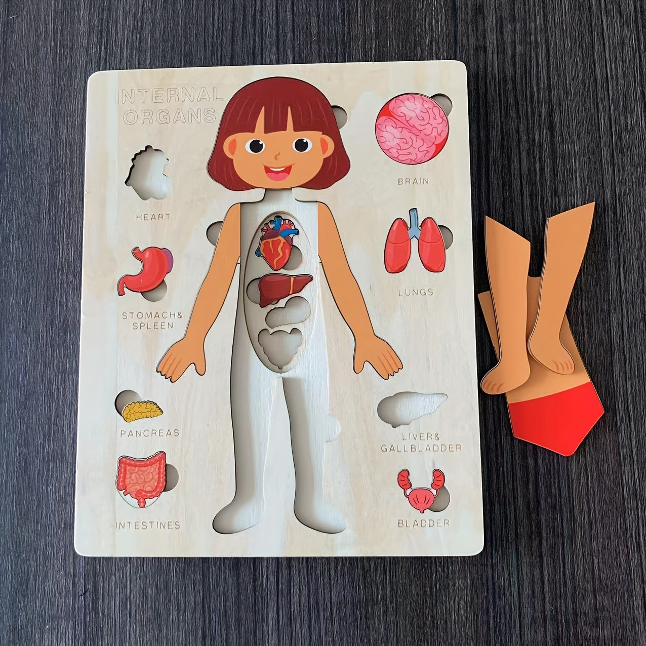 Kids' Wooden Human Body Jigsaw Puzzle Toy