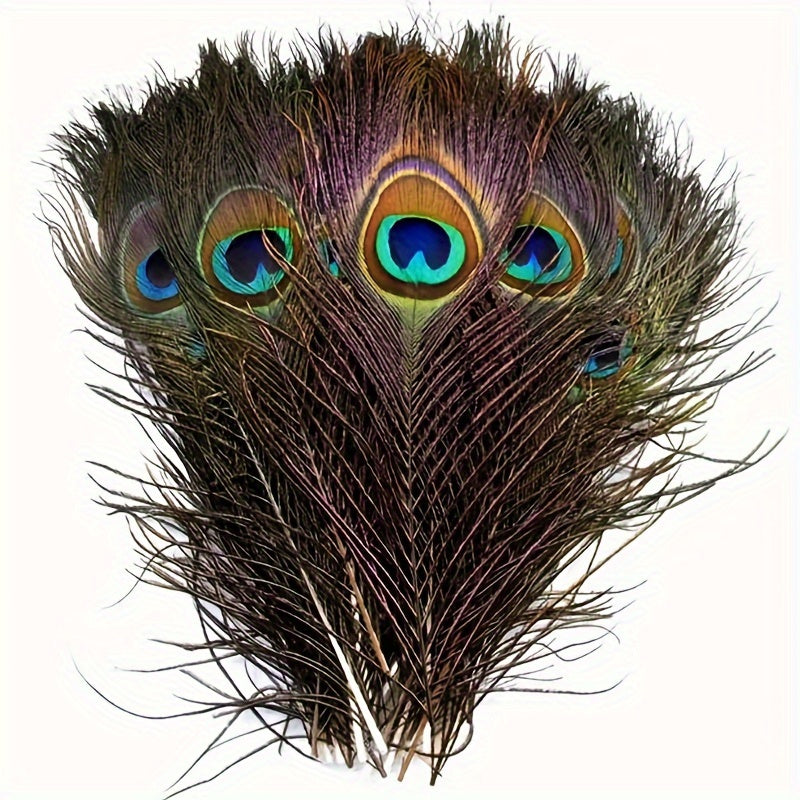 15pcs Peacock Eye Feathers 25-30-48 Cm Holiday Party Table Decorations