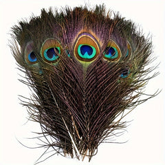 15pcs Peacock Eye Feathers 25-30-48 Cm Holiday Party Table Decorations