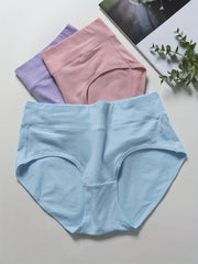 3 Pack Plus Solid High Rise Panties Set