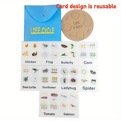 Educational Felt Life Cycle Game Interactive Learning Toy