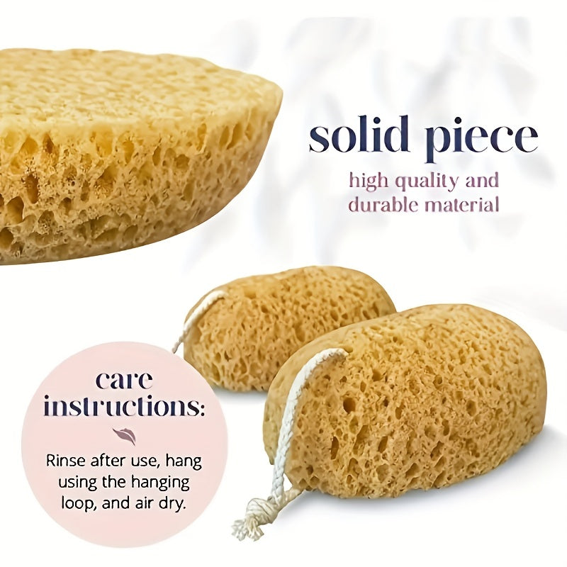 5 Pcs Exfoliating Bath Sponge Natural Seaweed Honeycomb Sponge