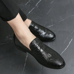 Men's Pointed Toe Slip On Casual Loafer Shoes