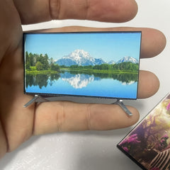 Mini Room TV Decoration - 5 Styles for 14-Year-Old Gifts