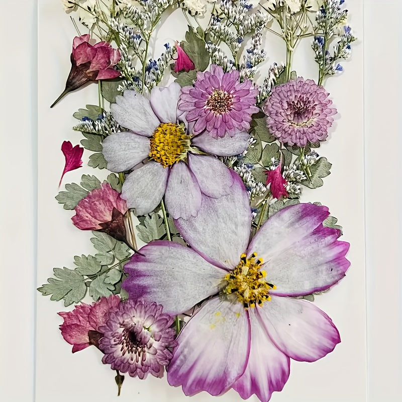 20pcs Dried Flower DIY Craft Kit - Wall Art, Photo Frames, Books