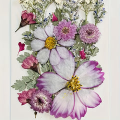 20pcs Dried Flower DIY Craft Kit - Wall Art, Photo Frames, Books