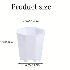 10pcs Octagonal Planter for Succulents & Cacti Growth