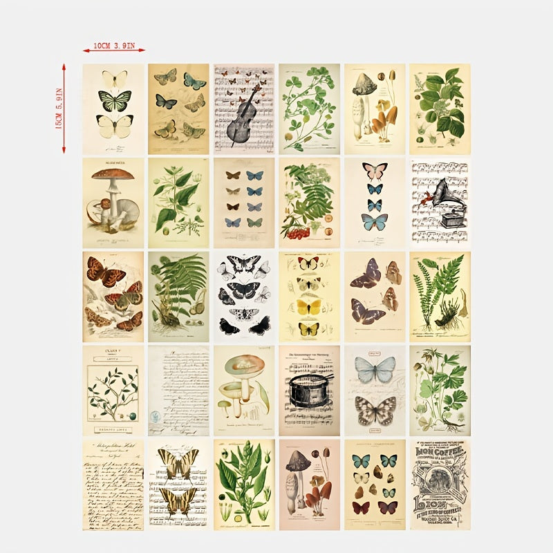 30pcs Bio Postcards Botanical Wall Stickers Room Decoration Cards 9 14