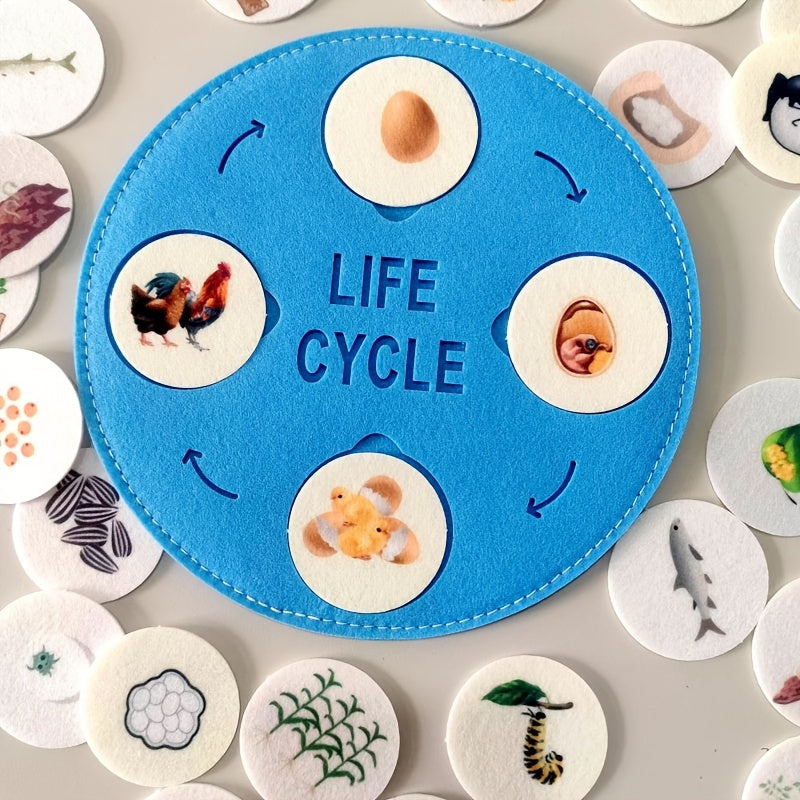 Educational Felt Life Cycle Game Interactive Learning Toy