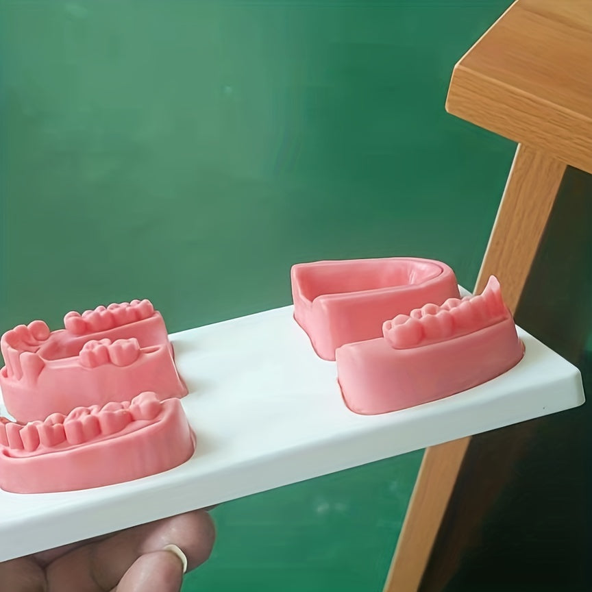 Dental Suture Practice Model for Training – CRAZE