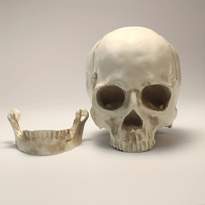 1pc Resin Skull Model Creative Halloween Ornaments
