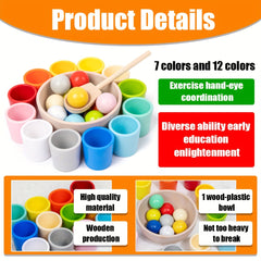 Wooden Rainbow Ball Sorting Game Educational Toy, Fine Motor Skills Learning
