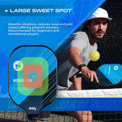 Dinkly Pickleball Paddles Set - 2 Rackets, 4 Balls, Portable Carry Bag