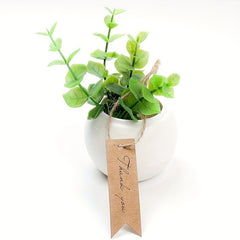 Blank Tag 10 Packs for Easy Labeling and Organization
