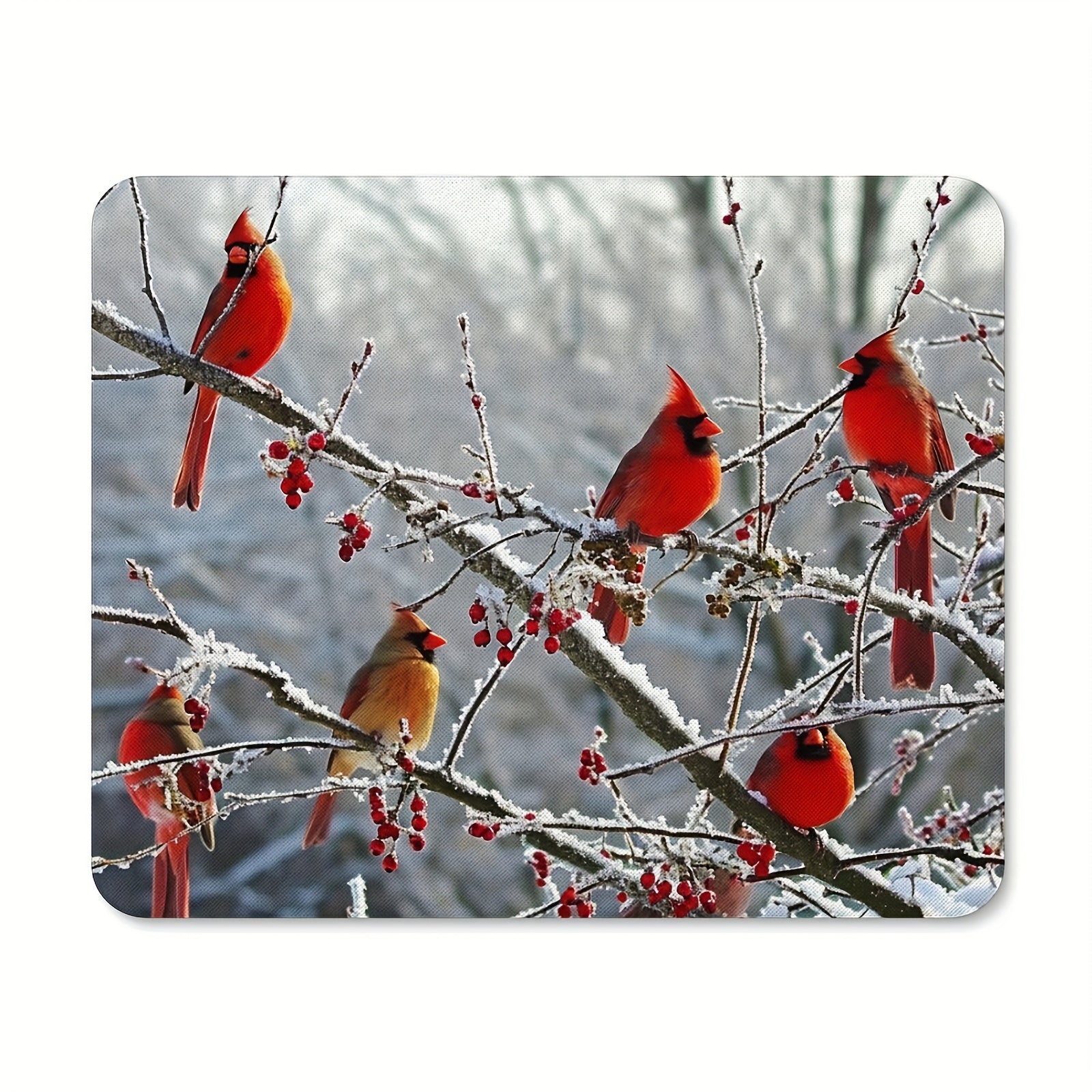 Winter Birch Trees And Cardinals Mouse Pad