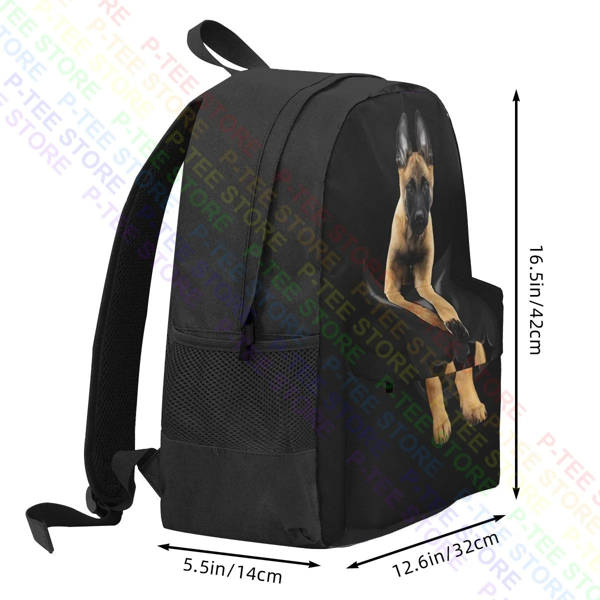 Belgian Malinois Dog In Pocket Backpack